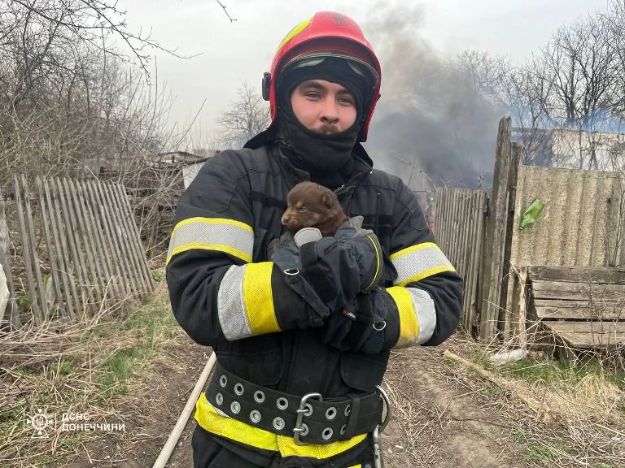 В Донецкой области из горящей травы спасли  щенка