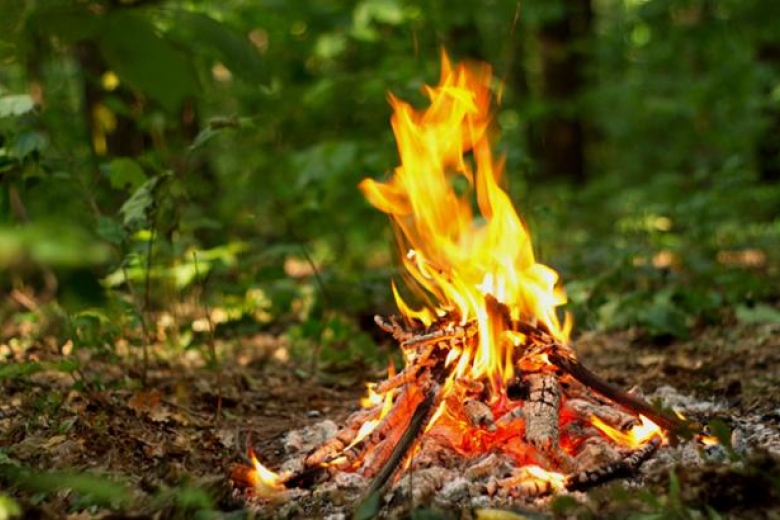 В Донецкой области объявили чрезвычайный уровень пожарной опасности