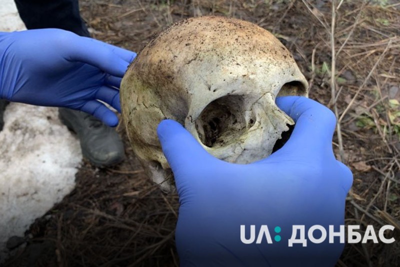Под Волновахой нашли человеческий череп (фото)