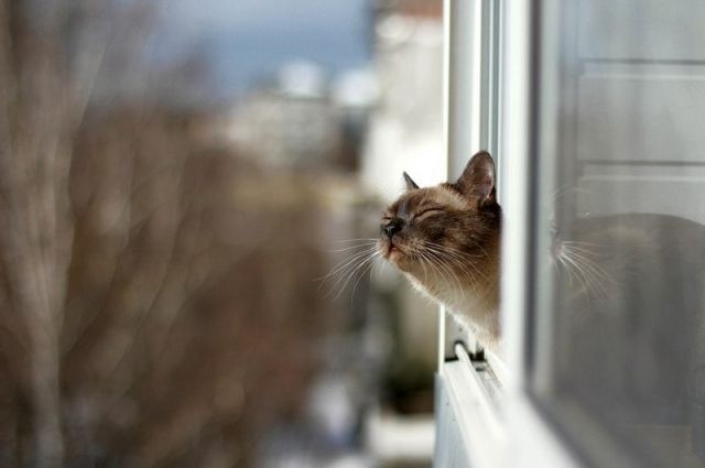 На Донбассе резко потеплеет