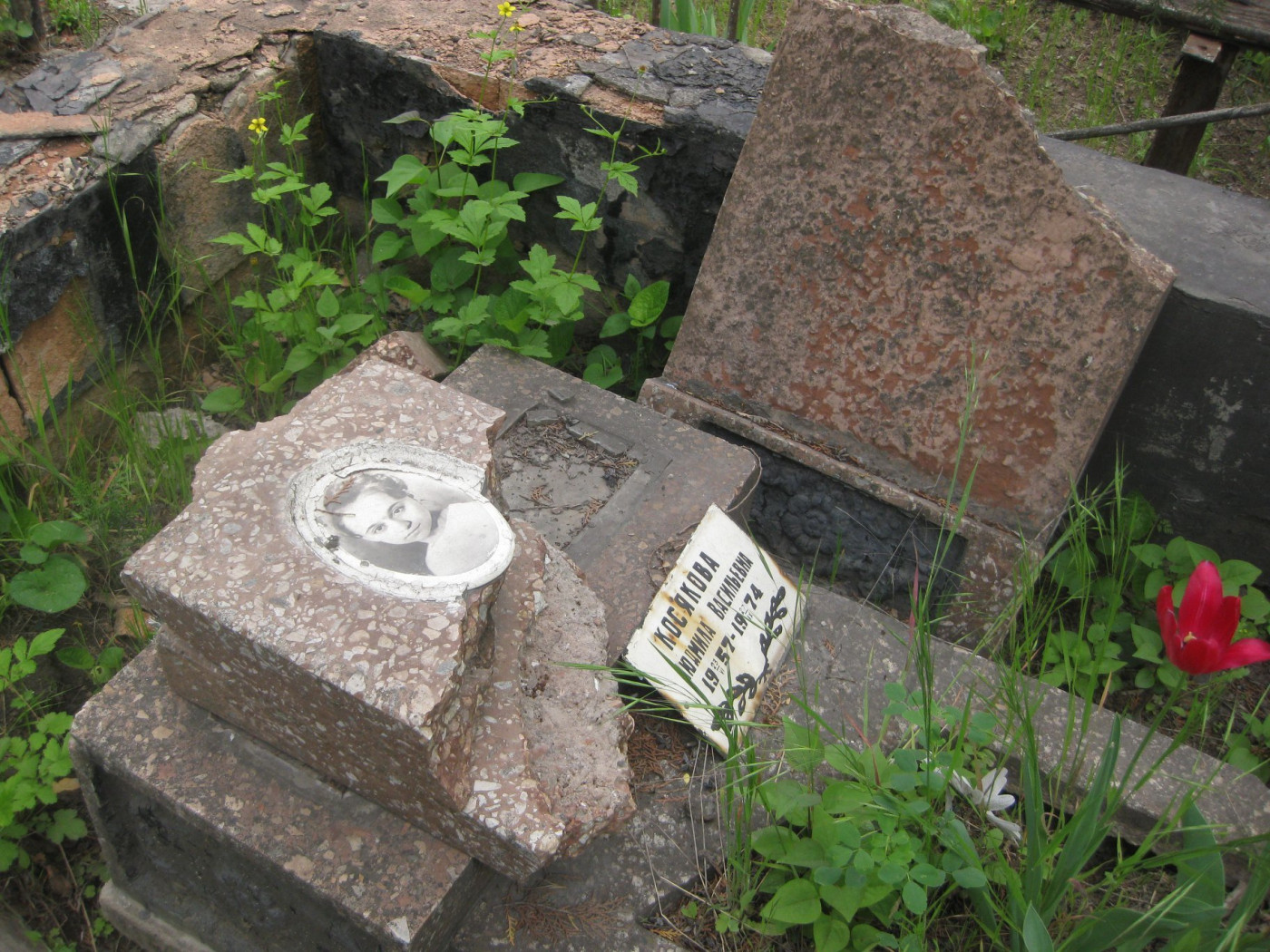 В Мариуполе вандалы надругались над памятниками (фото)