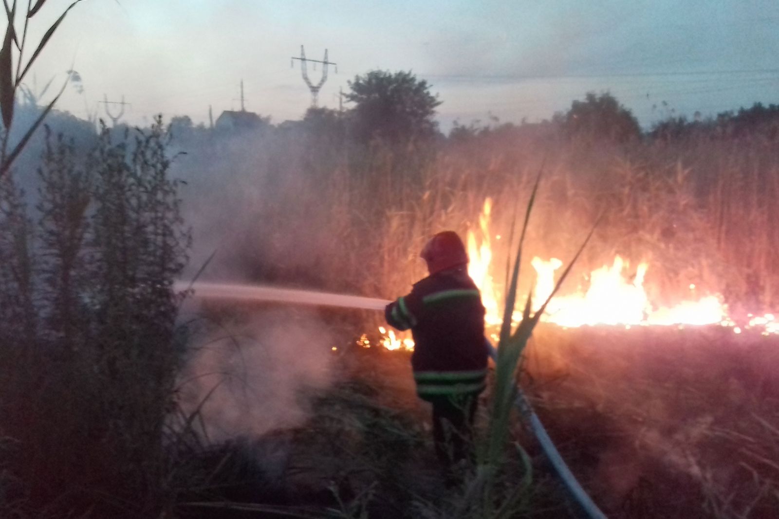 На Луганщине горел камыш (фото, видео)