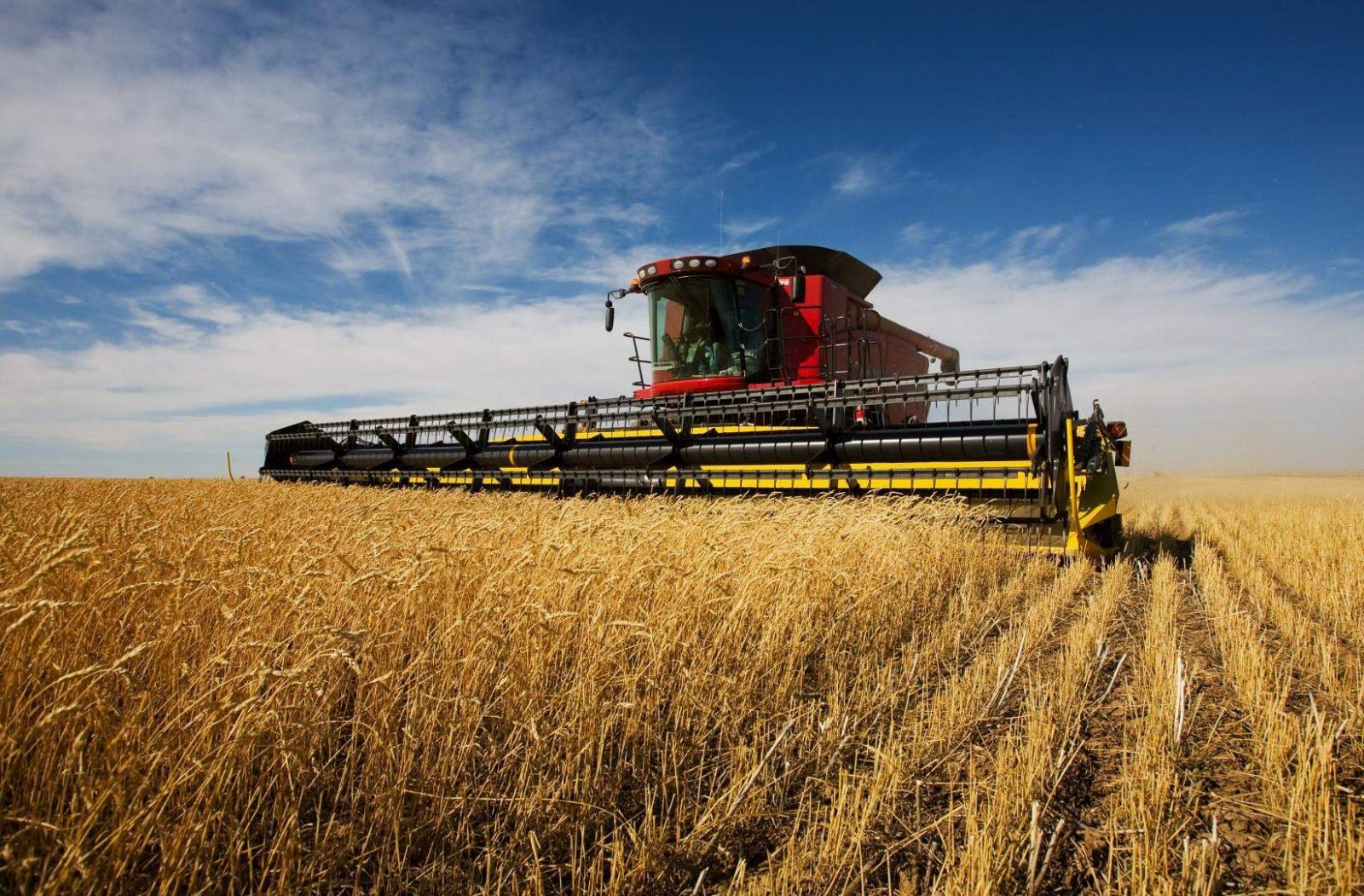 Луганские аграрии намолотили первый миллион тонн зерна
