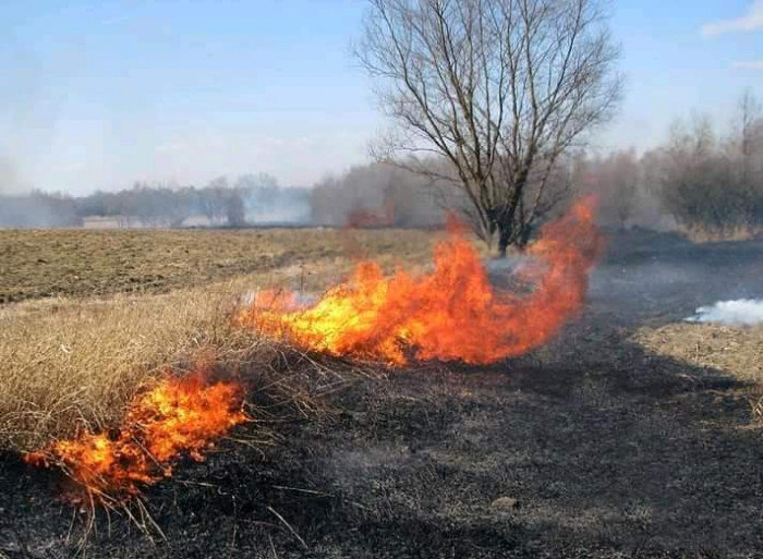 На Луганщине горит трава