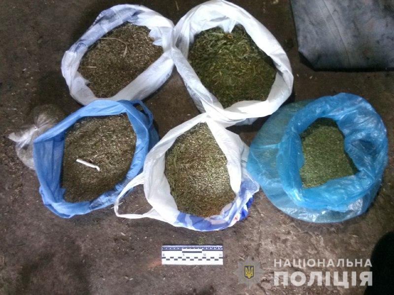 В Донецкой области изъяли наркотики на полмиллиона гривен (фото)