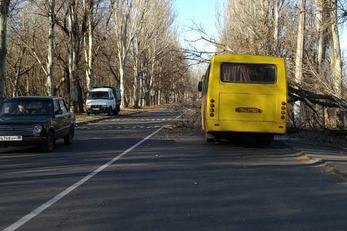 В Донецке на маршрутку рухнуло дерево (фото)