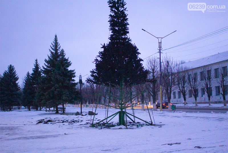 В Мирнограде устанавливают елку (фото)