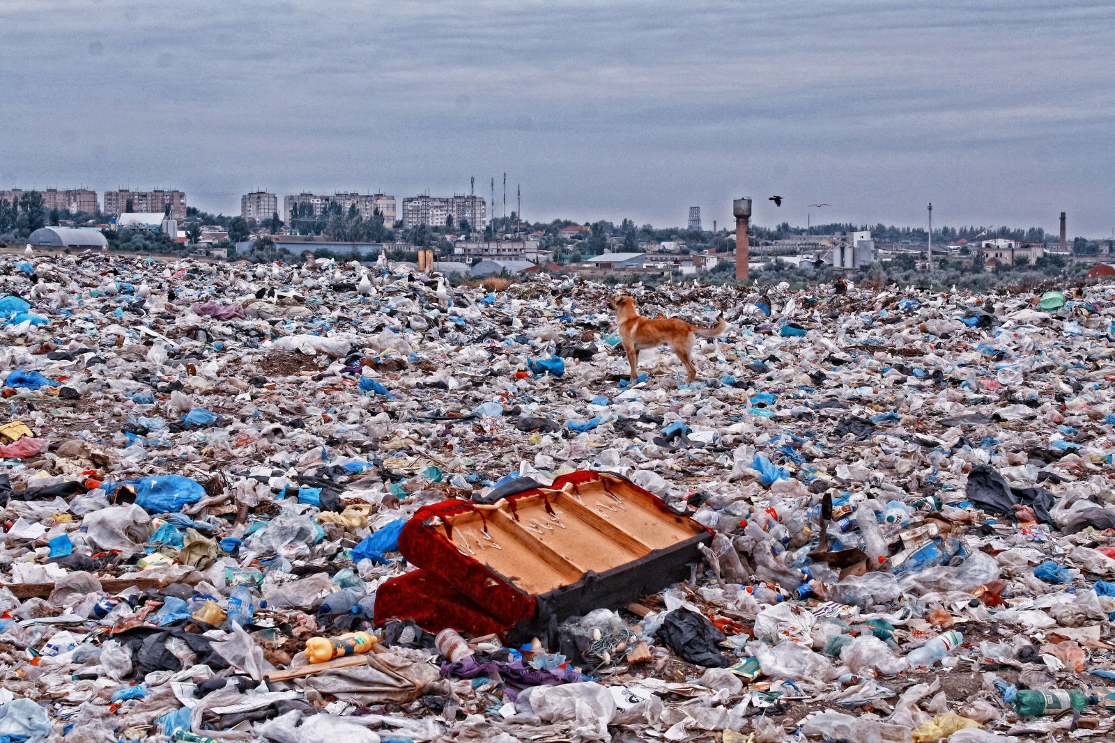 Ресурс северодонецкого мусорного полигона исчерпан