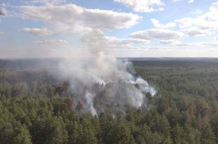 Пожар на Луганщине удалось локализовать