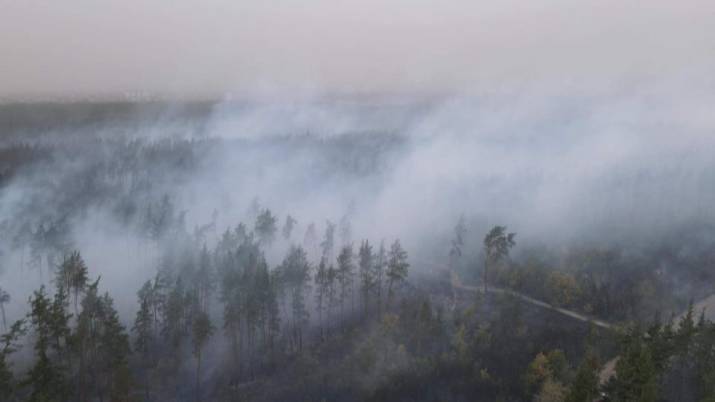 Пожары в Луганской области: последняя информация 