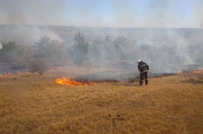 Украина передала в ОБСЕ доказательства поджогов возле Попасной