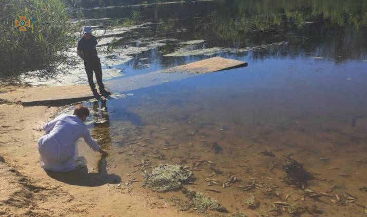 В реке на Луганщине массово мрет рыба