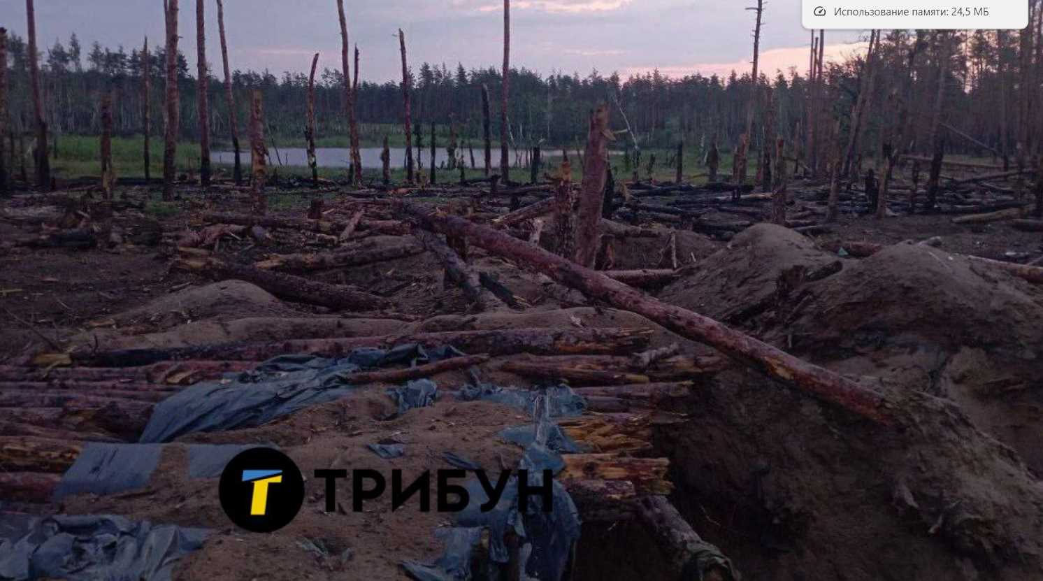Россияне уничтожили более 26 тыс. га леса в Луганской области