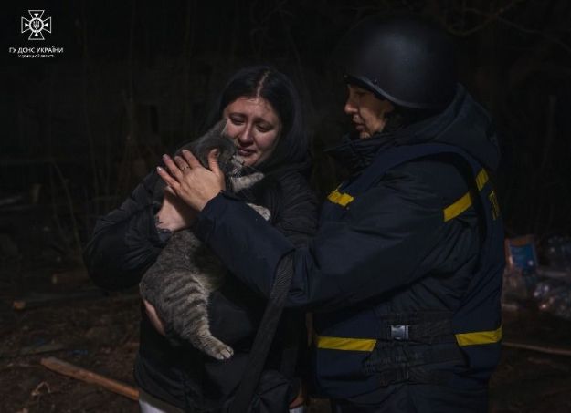 В Краматорске из-под завалов спасли кота (видео)