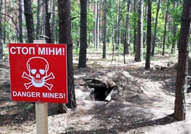 Леса Донецкой области загрязнены боеприпасами