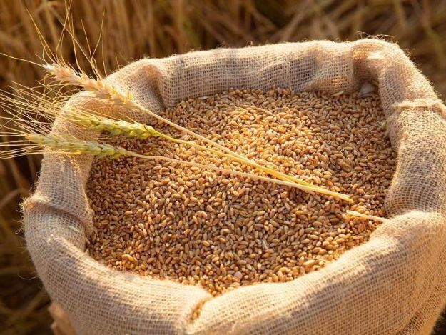 Фермеры Донецкой области получили семена яровой пшеницы от ООН (фото)