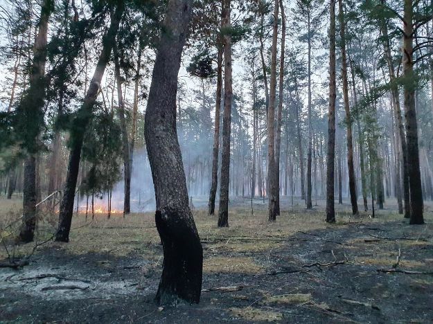 Через російські обстріли в лісах Лиманщини сталося кілька пожеж