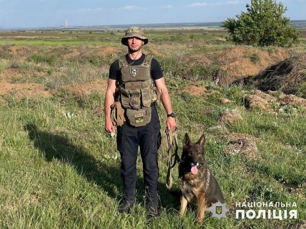 Искали с собаками: в лесополосе в Донецкой области нашли пропавшую бабушку