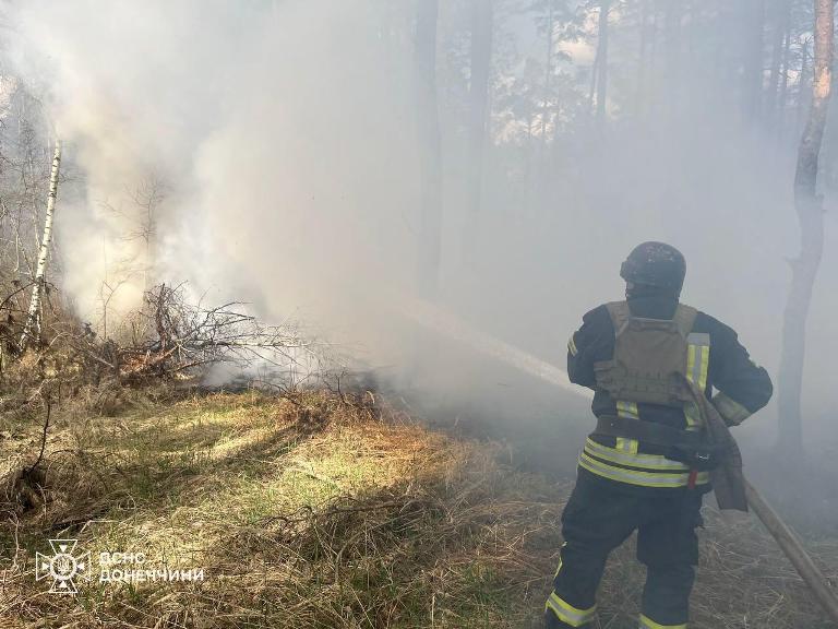 В Донецкой области в течение недели огнем уничтожено около 570 га леса