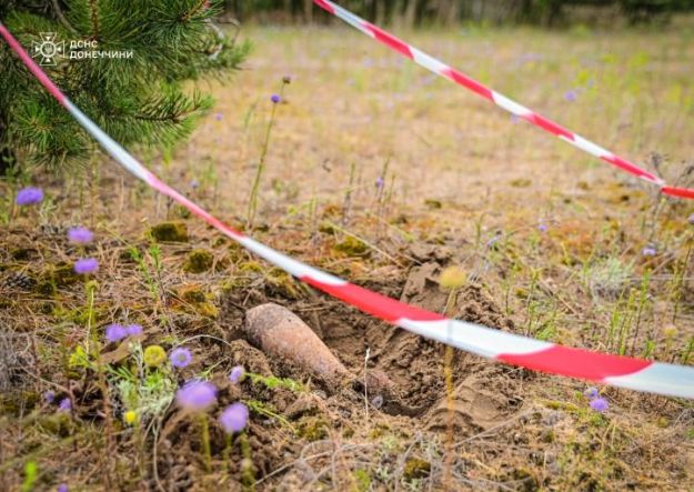 Ліси Донеччини приховують смертельну небезпеку - ДСНС