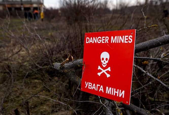В Донецкой области 66 тысяч га лесов нуждаются в обследовании из-за минной опасности