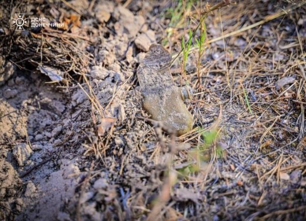 В Святых горах в Донецкой области обнаружили мину "Лепесток"