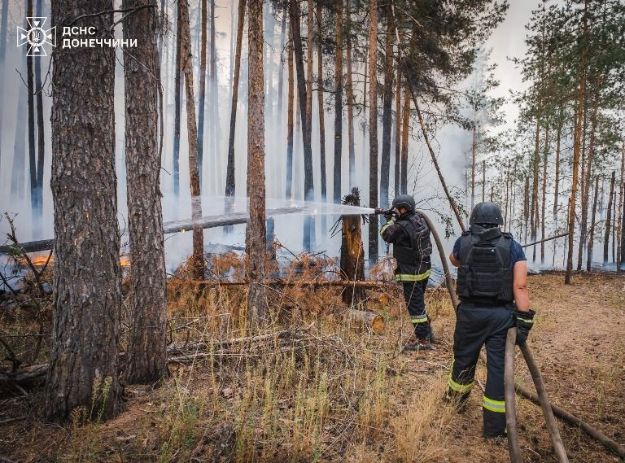 Рятувальники загасили масштабну пожежу в нацпарку "Святі гори" на Донеччині