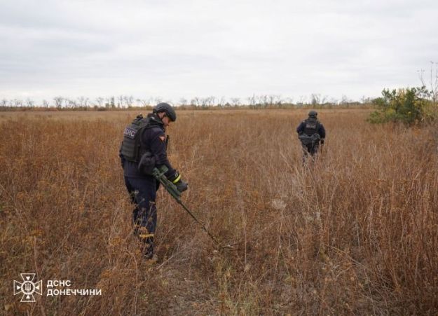 В Донецкой области за сутки пиротехники уничтожили 41 боеприпас