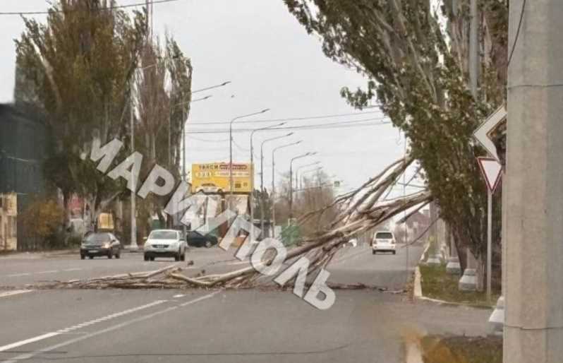 У Маріуполі штормовий вітер валить дерева і зриває дахи