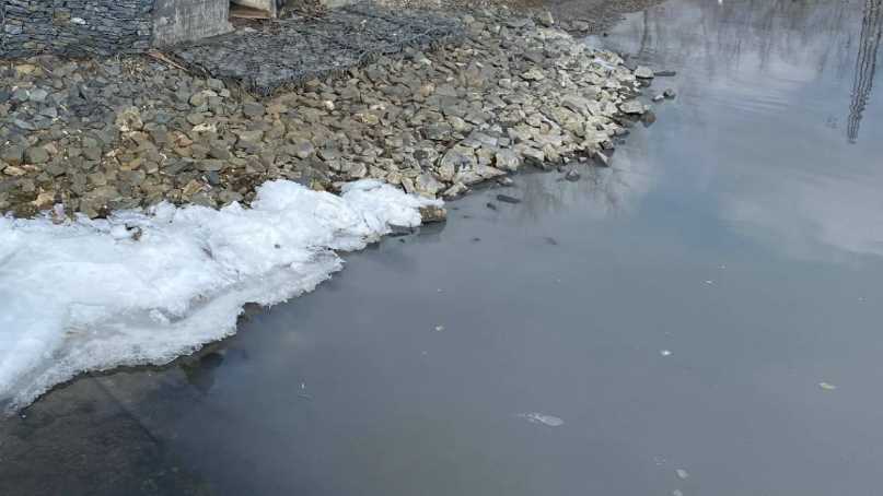 В оккупированном Мариуполе море загрязняется канализационными стоками