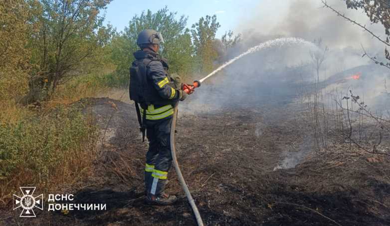 В Донецкой области огонь охватил леса и поля: за сутки горело более 35 гектаров - ГСЧС
