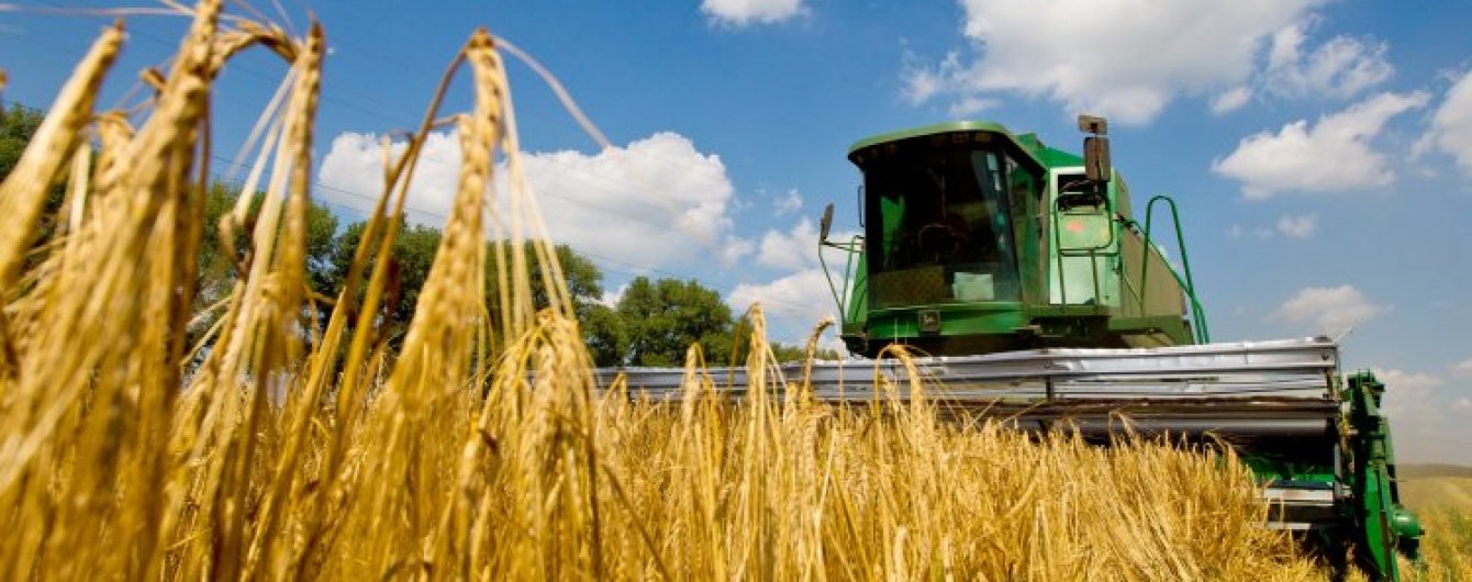 Из-за заморозков и засухи в Донецкой области потеряно около 11% посевов